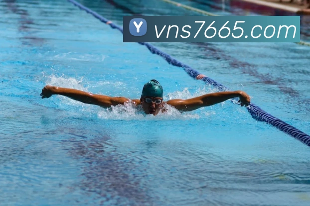 威尼斯人官网APP 封面图